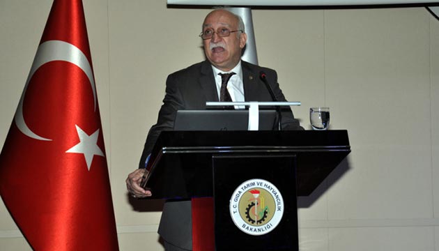 emsi bayraktar