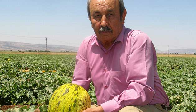 Araban Kavununun lk Hasad Yapld