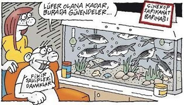 stanbul Boaz