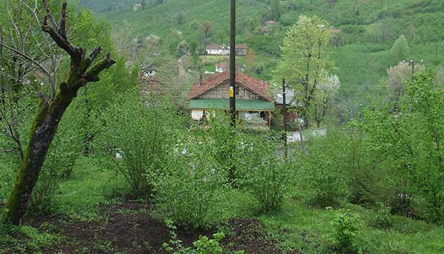 Ruhsatsz Fndk Bahesini Skerek Alternatif rne Geen reticiler Desteklenecek