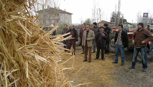 Besiciye, saman destei
