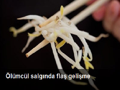 EHEC salgnnn yeni phelisi fasulye