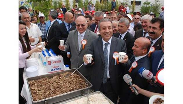 Tarm Bayram