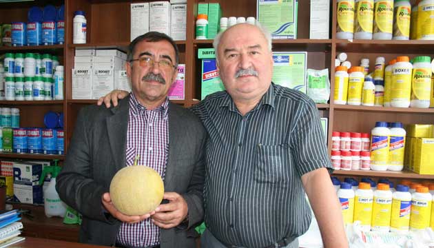 Bolu