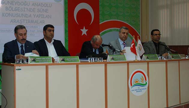 Ziraatiler Sneli Budaydan Dertli 