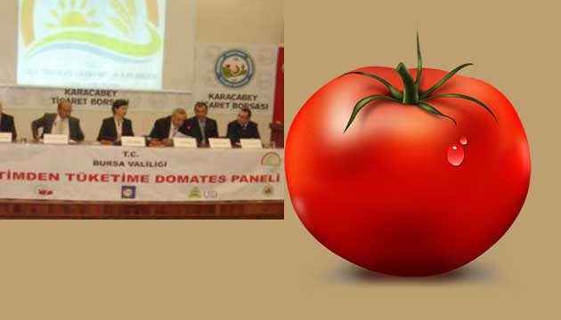 retimden Tketime Domates Paneli