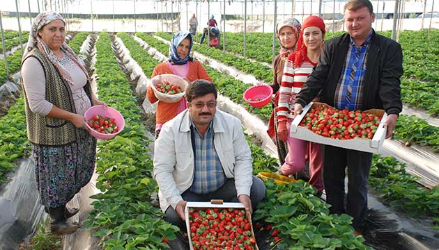 Mersin