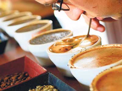 Ylda 500 milyon liralk kahve iiliyor