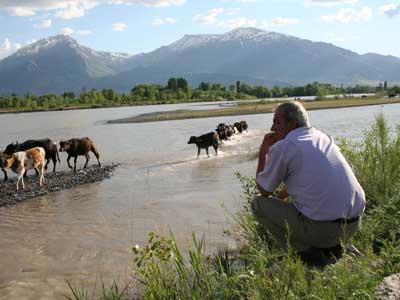 Hayvanlar, Karasu