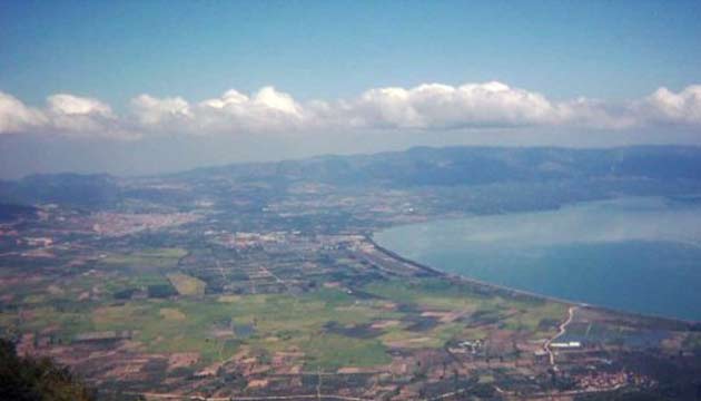 Bursa