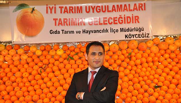 Kyceiz Portakal Trkiyenin En yi Portakal