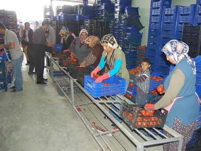 Silifke