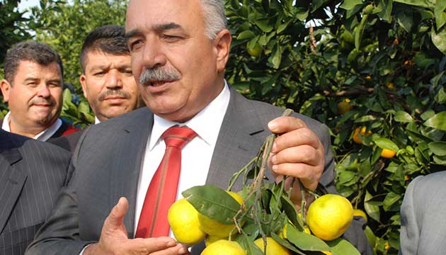 Drtyollu retici, festivalden umutlu