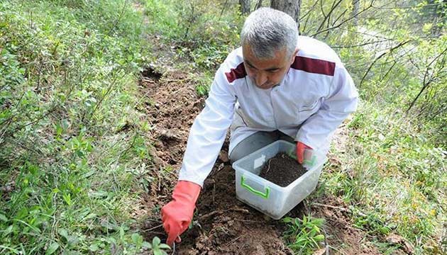 Terminatr Bcekler Grev Banda 