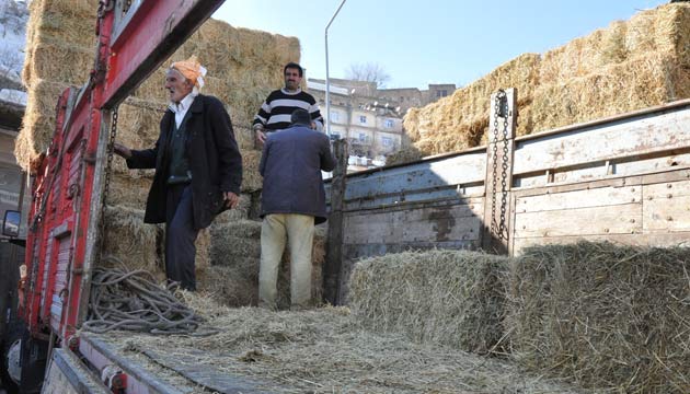 Bitliste ot ve saman fiyatlar 5 kat artt