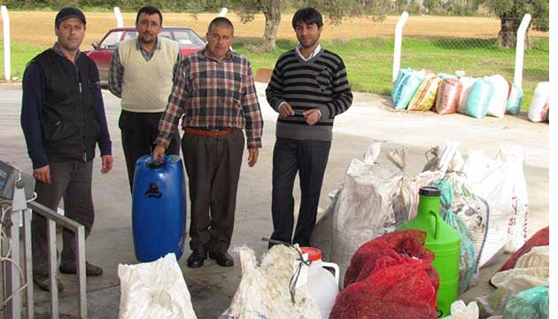 demi Tari, Zeytinyanda Bin 100 Ton leme Hedefini Tutturdu 