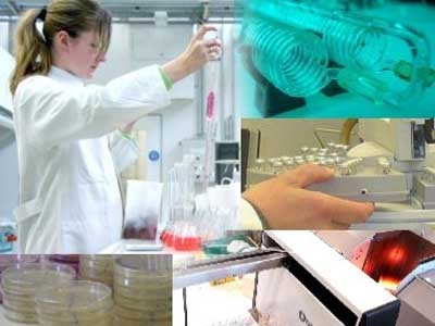 Gdo Analizleri Yapan lk Laboratuar Agrolab Ald