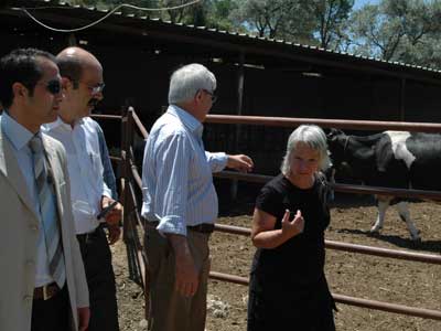 spanya hkmetinin organik tarm ilgisi