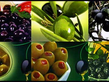 Uluslararas zeytin konseyi Trkiye
