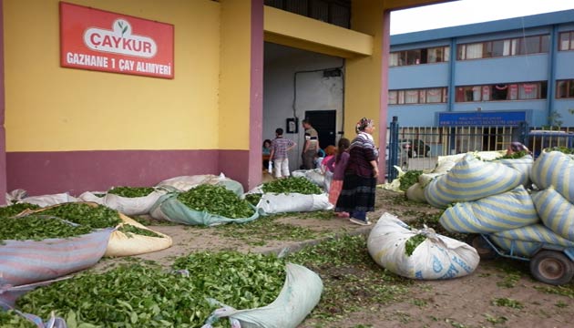 Ardeenli ay reticileri, maduriyetlerinin giderilmesini istiyor