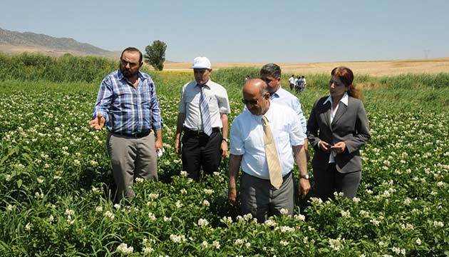 Krkkalede ilk defa patates ekimi gerekleti