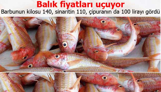 Balk fiyatlar uuyor