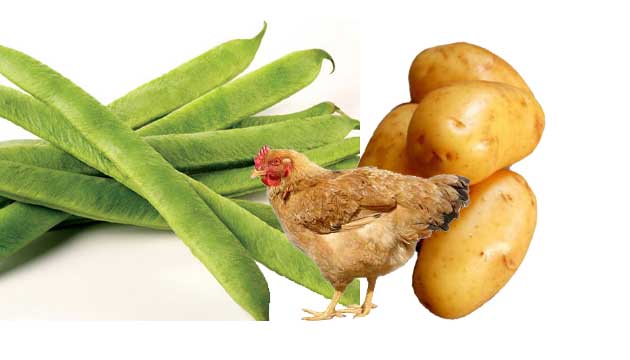 Taze fasulye ve patates, tavuk fiyatlarn zorluyor