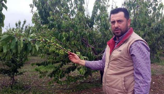 73 BN TONLUK dolu zarar