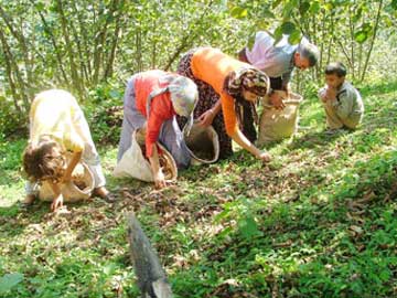 Fndkta 71 yl sonra serbest piyasa ekonomisine geildi