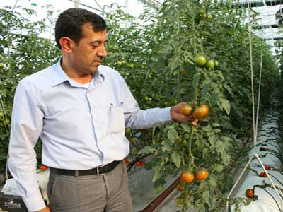 Kahtal iftiler ttne alternatif olarak seracla yneliyor 