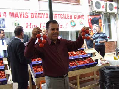 iftiler gnnde domatesler ile zeytinyalar yart