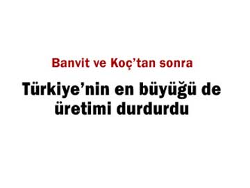 Saray da hayvan almn durdurdu