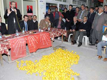 Limonlar milletvekillerinin NNE DKTLER