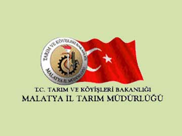 Malatya