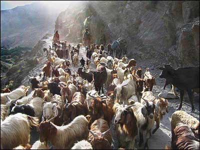 Karadeniz