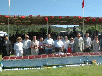Uluborlu