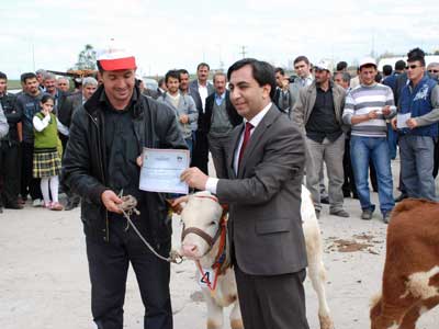 Diyarbakr en gzel buzasn seti