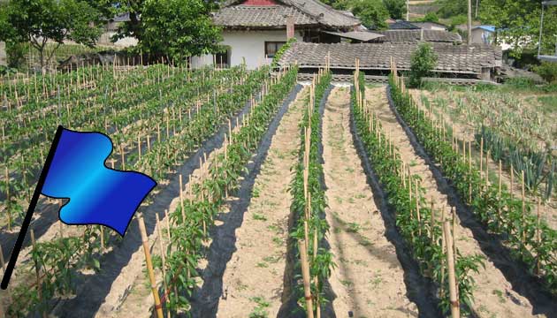 Krsal kalknma iin 1,2 milyar lira hibe verildi