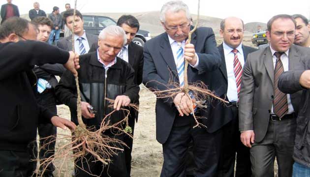 Erzincanda Meyvecilie Destek Sryor  