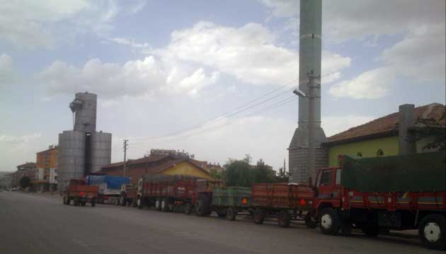 Alaca TMO buday almna balad