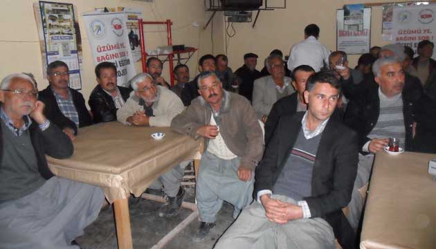 Tarsus