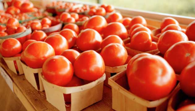 Dogal Canakkale Domatesi Tohumu 5 Gr