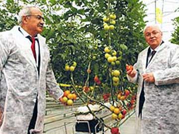 Organik rnler Denizli