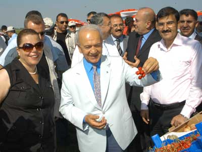 Beta Fidanclk meyvelerini grcye kard 