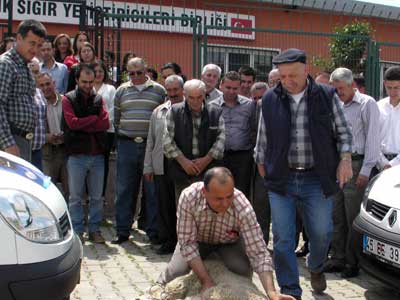 Damzlk birlii ara filosunu geniletti