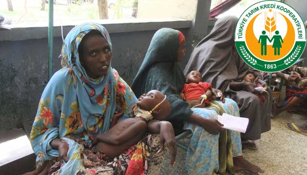 Tarm Kredi Kooperatiflerinden Somali