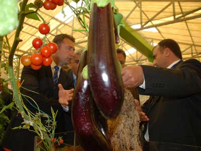 8.Gazipaa tarm fuar ald