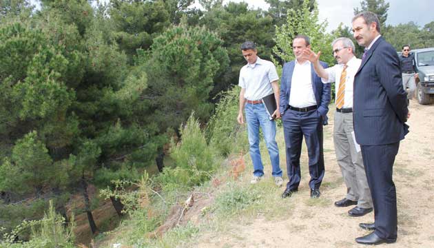 Aydn engl, am fstnda rekolte dmesini yerinde inceledi
