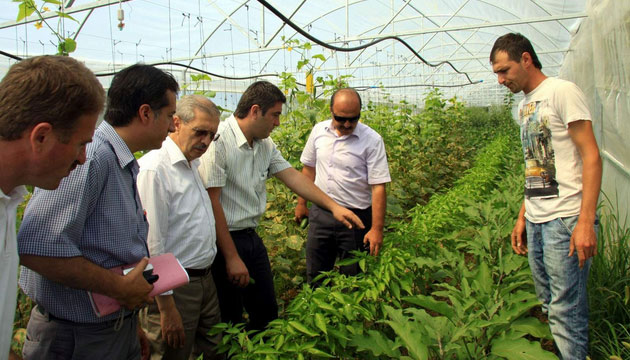 Bykehir, Tarm almalar Sonu Verdi, kocaeli