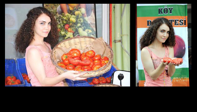 Ky Domatesinin Lezzeti Sofralara Tanacak